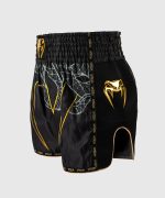 Venum Serpenti Muay Thai Shorts - Black/Silver/Gold - Image 2