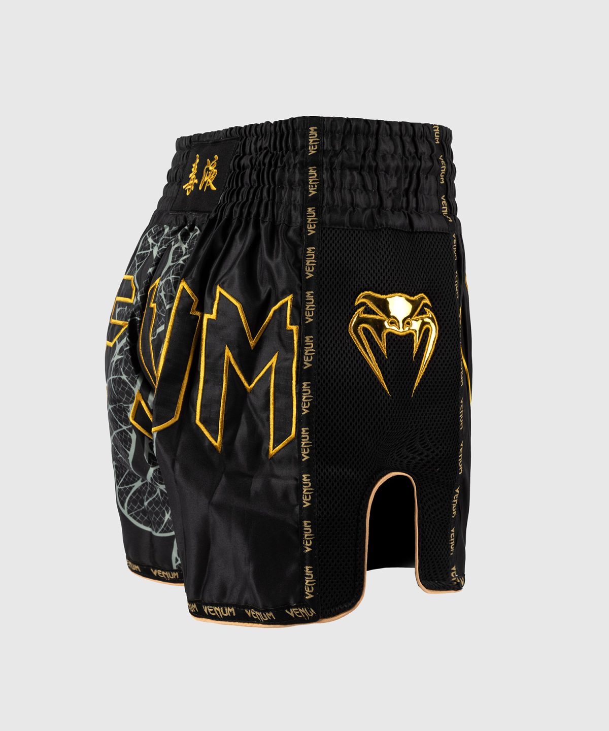 Venum Serpenti Muay Thai Shorts - Black/Silver/Gold - Image 4