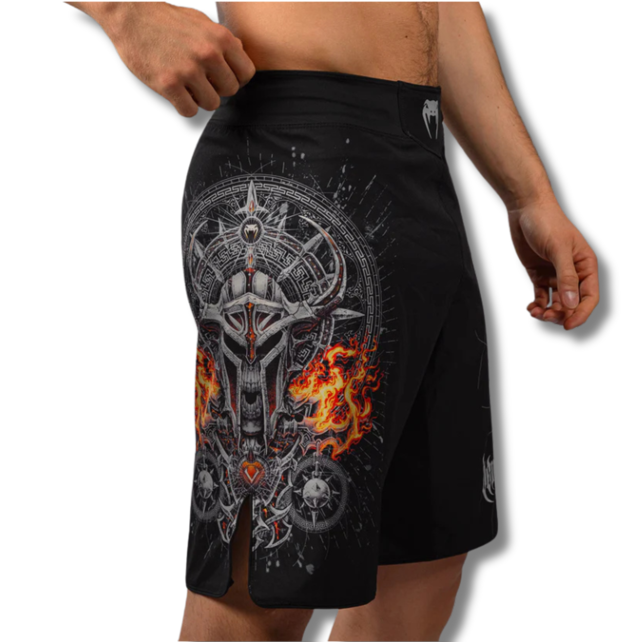 Untitled design (79) Venum Gladiator 5.0 Men’s Fight Shorts - Black/Silver - Image 1